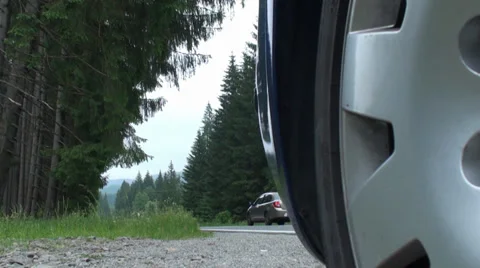 Road in the Forest. Camera Slider. Video stock 39544094