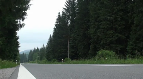 Road in the Forest. Camera Slider. Video stock 39544140