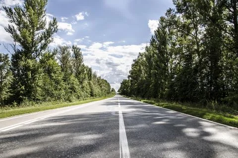 Road in the forest - colour edition with space for text Stock Photos