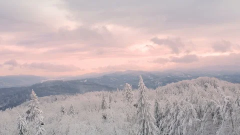 Road in the forest covered in snow. Stock-Footage 104634015