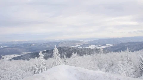 Road in the forest covered in snow. Stock-Footage 104634624