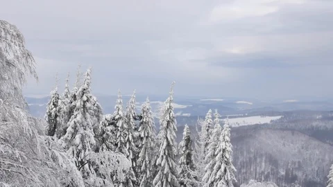 Road in the forest covered in snow. 库存影片 104716110