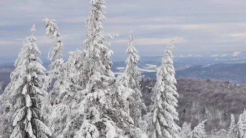 Road in the forest covered in snow. Stock-Footage 104716312
