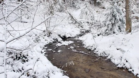 Road in the forest covered in snow. Stock Footage 104716861