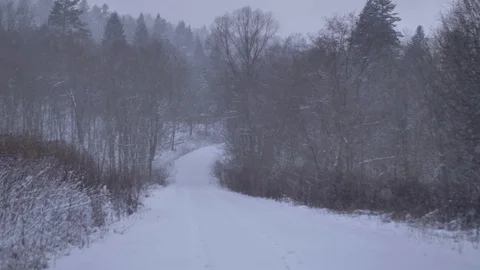 Road in the forest covered in snow.  Stock-Footage 123145433