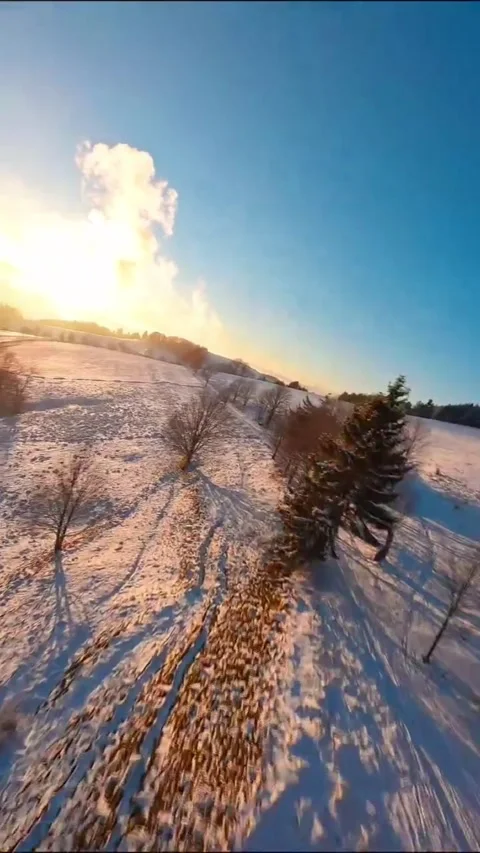 Road in forest covered with snow Stock Footage 273143683
