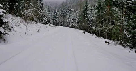 Road in the forest covered in snow. Fresh snow falling. 스톡 동영상 84141216
