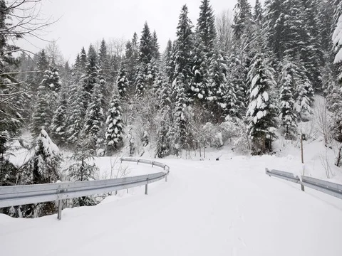 Road in the forest covered in snow. Fresh snow falling. Stock-Footage 84150899
