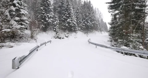 Road in the forest covered in snow. Fresh snow falling. Stock-Footage 84153757