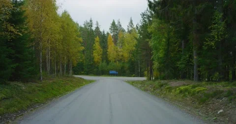Road in forest with distant sign at intersection in autumn Stock Footage 170310766