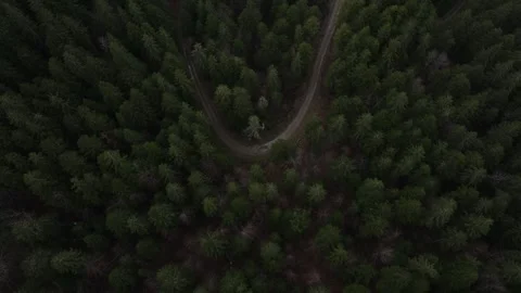 Road In The Forest By Drone Stock Footage 246738597