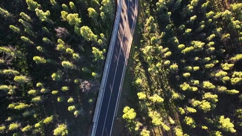 Road in the forest drone view. Canary Islands Stock Footage 144489147