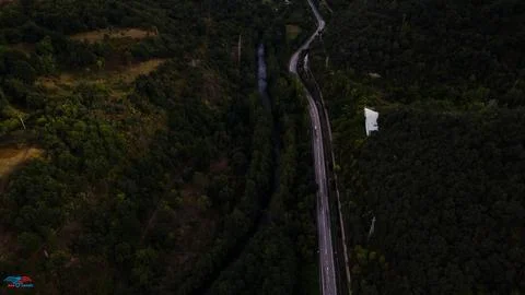 Road in the forest from drone view Stock Photos