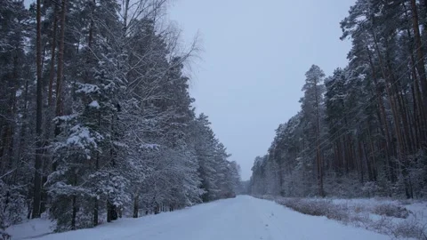 Road in the forest during a snowfall in winter Stock Footage 326069422