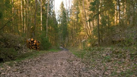 Road in the forest - flying camera shot 스톡 동영상 75964863