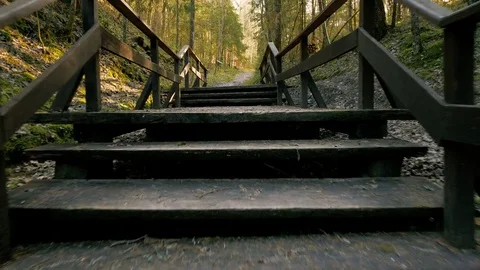 Road in the forest - flying camera shot Stock-Footage 77806453