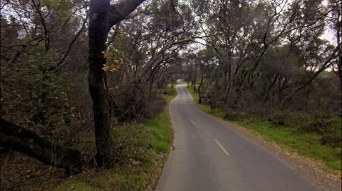 Road in the forest Vidéo 46458768