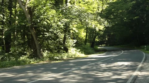 Road in Forest Stock Footage 47826984