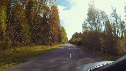 Road in the Forest Stock Footage 70819863