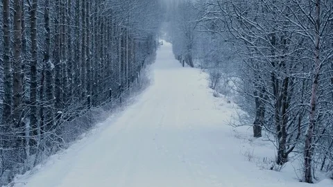 Road in the forest Stock Footage 71475627