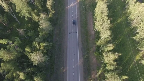 Road in forest Stock Footage 72293787