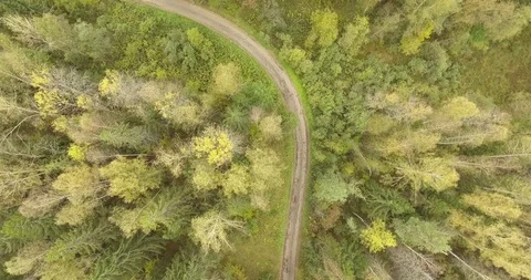 The road in the forest Stock Footage 89514192