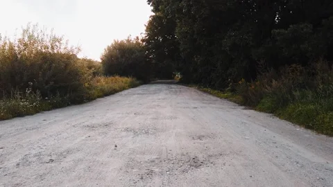 Road in the forest Stock Footage 142586666