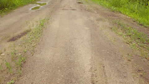 Road to the forest 動画素材 145408295