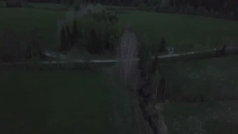 The road in the forest. Stock Footage 149108292