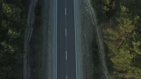Road in the forest Stock Footage 152441706