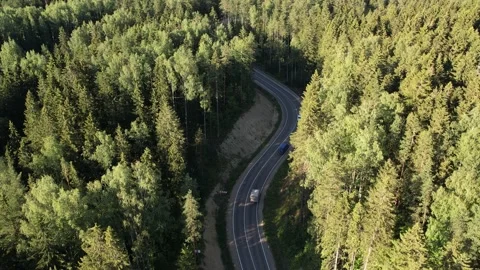 Road in the forest Stockbeeldmateriaal 156805760