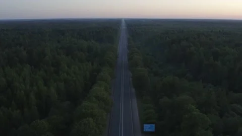 The road in the forest Video stock 157655410