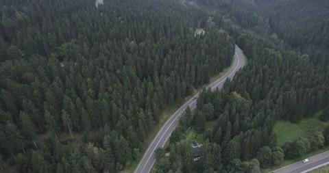 Road in the forest Stock Footage 164957567