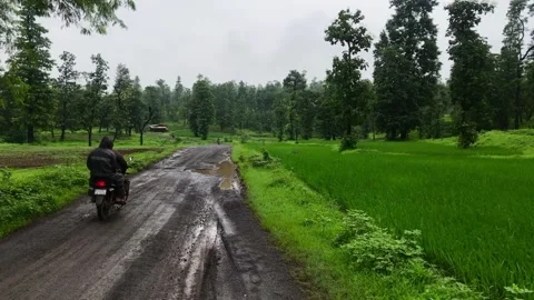 ROAD IN FOREST Stock Footage 168799405