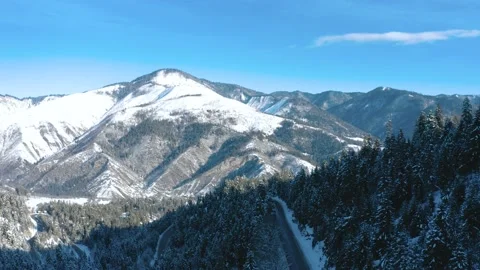 Road in the forest 스톡 동영상 169306197