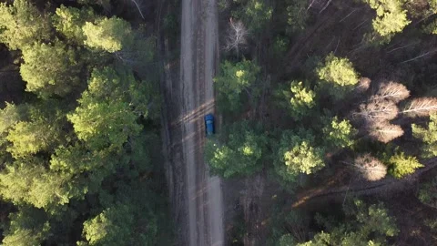 Road in the forest Video stock 194492640