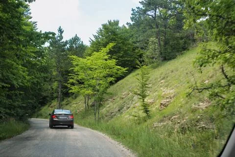 The road to the forest gorge. Stock Photos