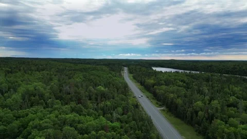Road in the forest by the lake 動画素材 320285426
