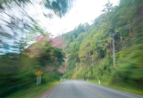Road in forest in motion blur Fotos de archivo