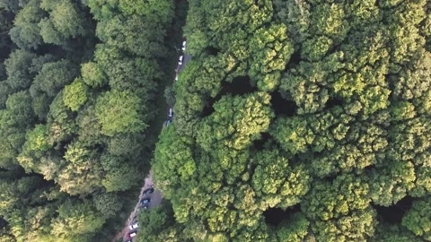 Road in the forest - Mountain Bukulja Stock Footage 171174407