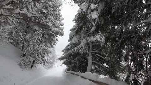 Road In the Forest. Mountain Hut Covered With Snow Stock Footage 101808712