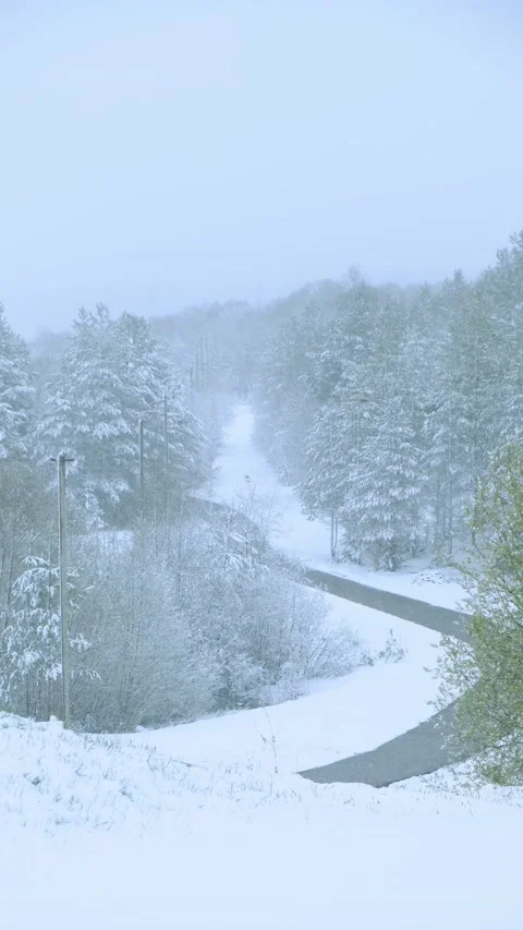 The road in the forest passes through snow-covered trees Stock Footage 196834870
