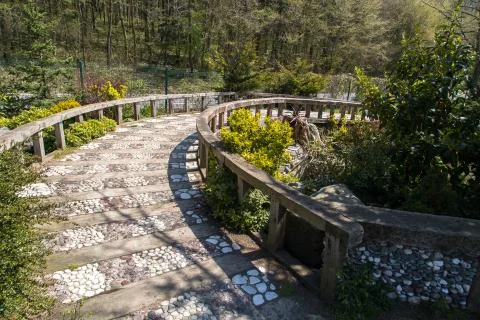 Road in Forest Stock Photos