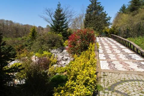 Road in Forest Stock Photos