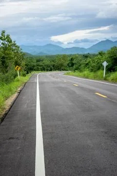 Road in forest Stock-Fotos