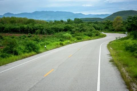 Road in forest Stock Photos