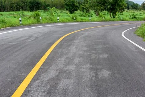 Road in forest 写真素材