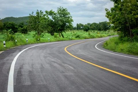 Road in forest Fotos Stock