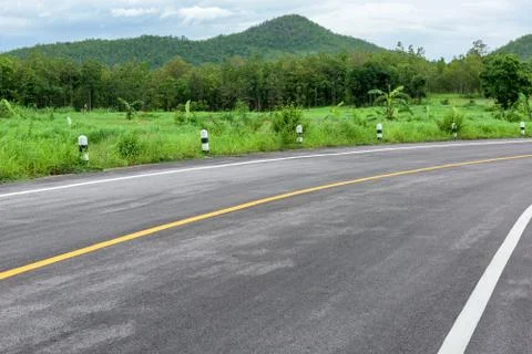 Road in forest 写真素材