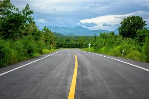 Road in forest Fotos Stock